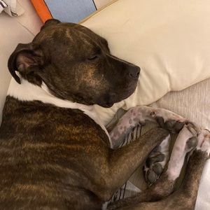 Meet your Posher, Katherine